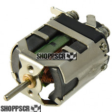 ProSlot Blueprinted Speed FX S16D motor, w/Balanced Arm