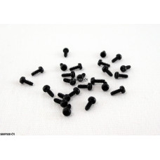 Cahoza #273 Self tapping plastic endbell screws (1 pc)