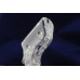 DiFalco Clear Controller Handle with Hardware